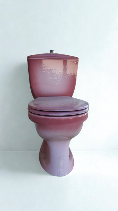 Toilettes rétro roses