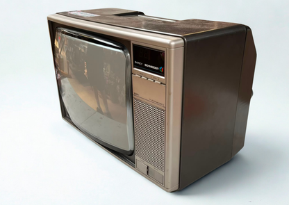 TV cathodique - modèle Schneider