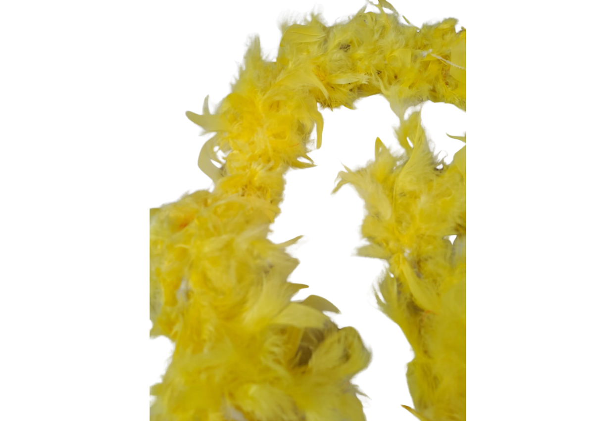 Echarpes à plumes