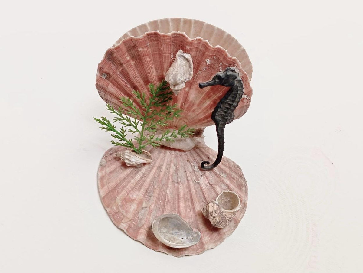 Coquillage