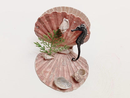 Coquillage
